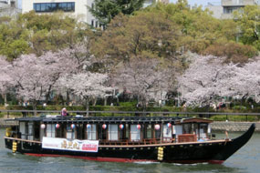 屋形船で楽しめる 東京でおすすめのお花見クルーズ グルメ 東京の屋形船の予約サイト 屋形船の窓口